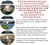 Book The Insider's Make An Extra Income, Godfather Principles and Sales Models for High Protein Diet Guides Web Businesses 3 CD Power Pack