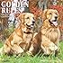 Golden Rules 2016 Wall Calendar
