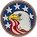 Patriotic Eagle 2013 Patrol Patch - 2