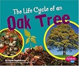 Books : The Life Cycle of an Oak Tree (Pebble Plus)