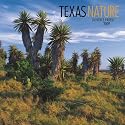 Texas Nature 2009 Square Wall Calendar (Multilingual Edition)