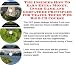 Book The Insider's How To Earn Extra Money, Inner Game and Godfather Principles for Travel Tours Web Biz 3 CD Course