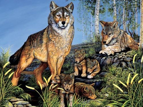 Family Puzzles Proud Parents