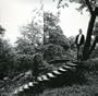 Timber Timbre