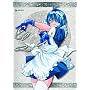 Ikki Tousen Complete Set