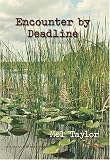 Encounter by Deadline (Avalon Mystery)
