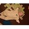 The Game Collection Part 1