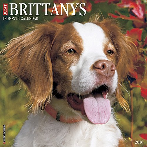 2016 Just Brittanys Wall Calendar