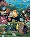 Tropical Ocean Fish Exotic Coral Reef Animal Wildlife Picture Art Print