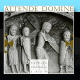 Attende Domine