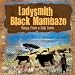 Image of Songs From a Zulu Farm