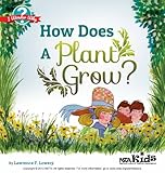 How does a plant grow?