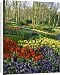 Canvas Prints of Flowering bulbs on display at the Keukenhof Gardens in Lisse, Holland, Europe from Robert Harding