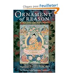 Ornament of Reason: The Great Commentary to Nagarjuna's Root of the Middle Way