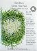 Endive Certified Organic Seeds