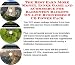 Book The Best Earn More Money, Inner Game and eCommerce for Badminton Rackets On-line Businesses 3 CD Power Pack