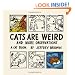 Cats are Weird and More Observations