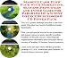 Massive Cash Flow Pack with Marketing, Success Principles and Inner Game for Parables Of Ancient Greece Businesses 3 CD Power Pack