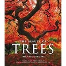 The Beauty of Trees