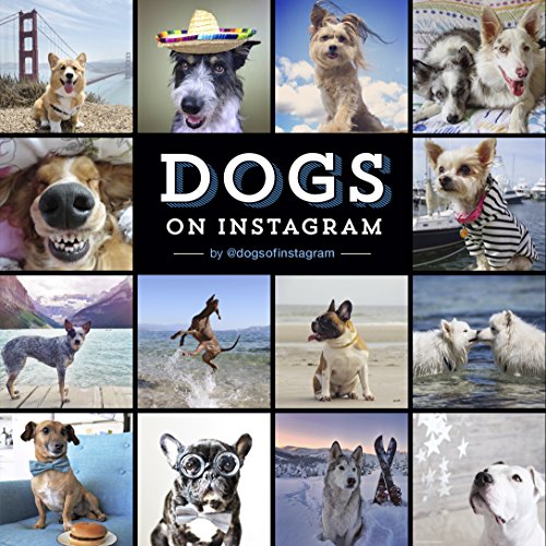 Dogs on Instagram Dogs on Instagram