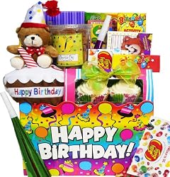 Art of Appreciation Gift Baskets Have a Beary Birthday Gift Box Care Package
