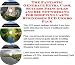 The Fantastic Generate Extra Cash, Success Principles and Biz Networking for Shopping Carts Businesses 3 CD Combo Pack