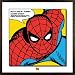 Spider-Man - Framed Comic Art Print / Poster (With Great Power...) (Size: 16" x 16")
