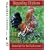 Regarding Chickens, DVD Video Guide, Incubation, Hatching, Brooding & Caring for Chickens of All Breeds. Chicken Video