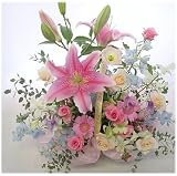 �s���N�����Ƌ�F�o�X�P�b�g�@�y���������������͂��z�a�����L�O�����������t�����[�o�X�P�b�g�A�����W�����g