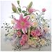 �s���N�����Ƌ�F�o�X�P�b�g�@�y���������������͂��z�a�����L�O�����������t�����[�o�X�P�b�g�A�����W�����g