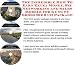 The Incredible How To Earn Extra Money, Biz Networking and Sales Models for Kung Fu Shoes Biz 3 CD Package