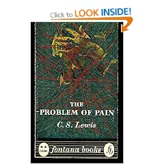 The Problem of Pain