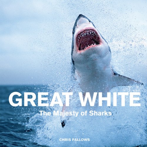 great white the majesty of sharks