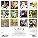 2016 Just Cats Wall Calendar