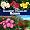 www.wildrosen.com - Rosen. GreenBASE - Pflanzen-CD