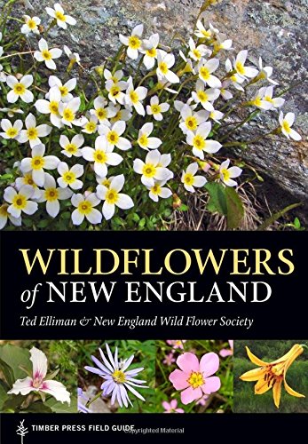 Wildflowers of New England: Timber Press Field Guide (A Timber Press Field Guide), by Ted Elliman, New England Wild Flower Society