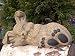 Garden ornamental Figure - Rabbit sleeping, Cast stone, Light brown