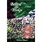 See the Church Stop Battering Battered Women!