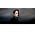 Vignette de Tord Gustavsen