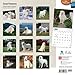 Great Pyrenees 18-Month 2015 Calendar
