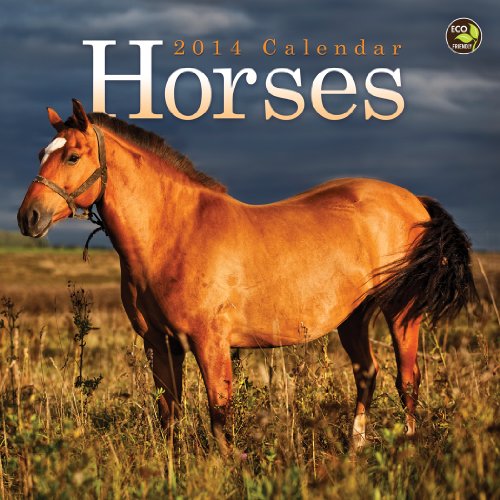2014 Horses Mini Calendar