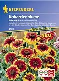 Eigenschaften Kiepenkerl - Blumen-Saatgut  / Gaillardia aristata Kokardenblume Arizona Sun