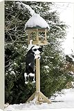 Canvas Prints of Cat - black a white cat climbing up a bird feeding table in snow from Ardea Wildlife Pets