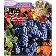 Vineyards 2009 Wall Calendar