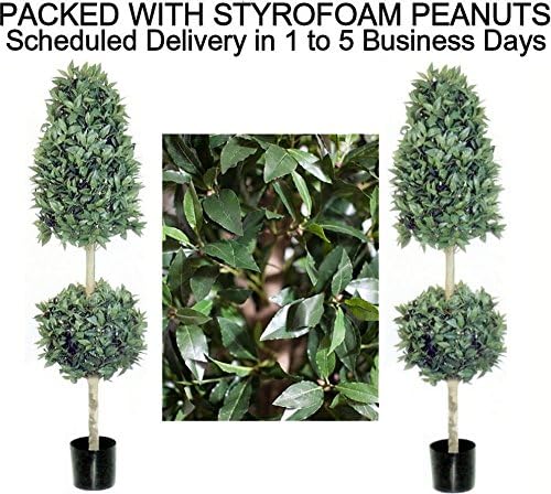 SPJPLANTS Box of Two Silk Artificial Potted 5 foot 4 inch Sweet Bay Ball Cone Topiary Tree Plants packed with styrofoam peanuts