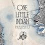 One Little Indian Amazon Label Sampler 09