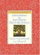 The Illustrated Discovery Journal : Creating a Visual Autobiography of Your Authentic Self