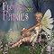 Fairies . . in 2012 Calendars ! *