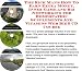 Book The Rich Man's How To Earn Extra Money, Inner Game and Biz Networking for Homeopathic Supplements And Vitamins Web Biz 3 CD Course