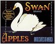 Swan Brand Apples Porcelain Refrigerator Magnet